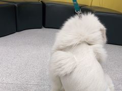 -谐和贝康宠物医院24小时·宠保定点(急重症转诊中心)