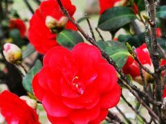 -玄武湖景区-情侣园游乐场