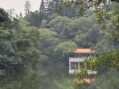 -深圳仙湖植物园