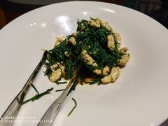 果仁爱沙葱-九十九顶毡房(阜石路店)