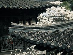 -何园