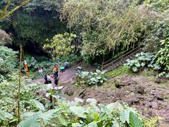 -海口火山口国家地质公园