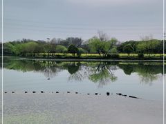 -八卦田遗址公园