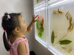-广东中医药博物馆