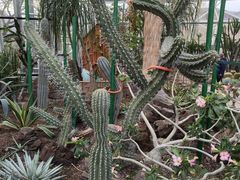 -北京植物园-展览温室