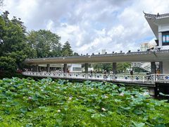-荔湾湖公园