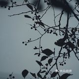 南山南，看妈湾