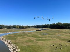 -北京麋鹿生态实验中心