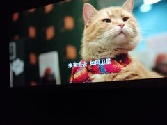 -SFC上影影城(新世界店)