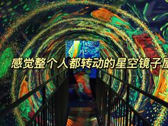 -成都梵高星空艺术馆(春熙路旗舰店)