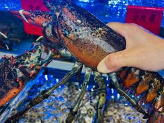 -金海湾海鲜排档(朱家尖店)