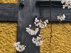-上海瑞金洲际酒店