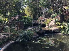 -晓港公园