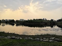-眉山湿地公园(东坡区)