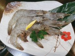 -道乐烧肉酒馆