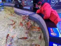 -烟台海昌鲸鲨海洋公园