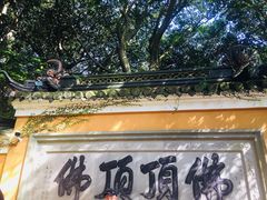 -普陀山风景区-佛顶山