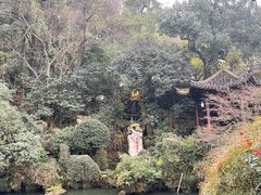 -杭州黄龙洞