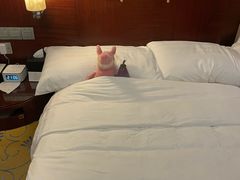 -苏州香格里拉大酒店