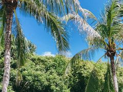 -三亚南山文化旅游区