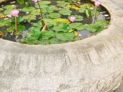 -坂田手造文化街