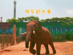 -昆明动物园