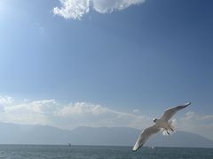 -大理洱海