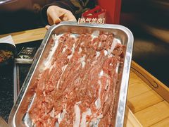 -京炭铜锅涮肉·羊蝎子·羊肉炉(保利·时光里店)