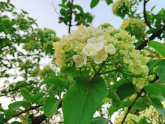 -白塘生态植物园