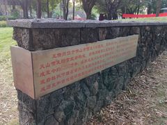 -王借岗森林公园