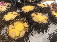 -日月昇渔家菜·海肠捞饭·大连海鲜(星海公园店)