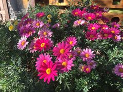 -味多美(江安路店)