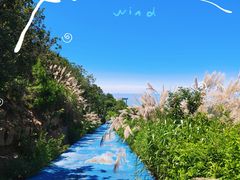 -缥缈峰景区