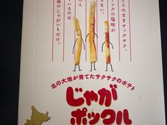 -关西国际机场直营免税店