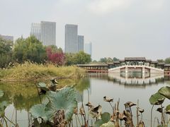 -西海子公园