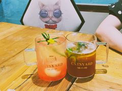 -猫小院猫主题咖啡厅(北锣店)