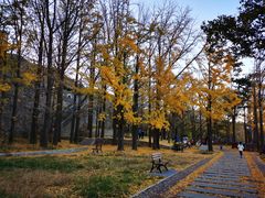 -阳台山自然风景区