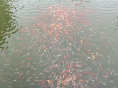 -宝盖山风景区-停车场