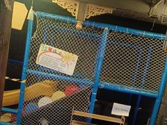 -蜀九鼎·四川火锅·毛肚是招牌(惠安店)