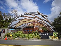 -怀托摩萤火虫洞