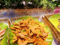 -鼎香缘海鲜自助火锅烤肉(锦辉购物广场店)
