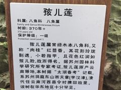 -东山雕花楼