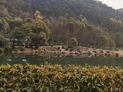 -桃花岭景区