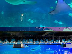 -烟台海昌鲸鲨海洋公园