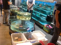 水产区-强记海鲜·大排档(蛇口新街店)