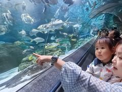 -大连圣亚海洋世界