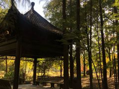 -东湖落雁景区