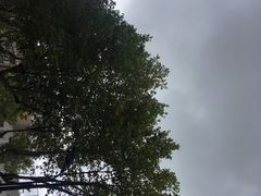 -昆山招商花园城