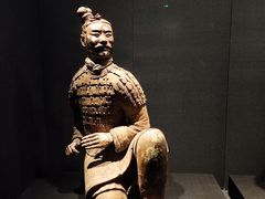 -陕西历史博物馆