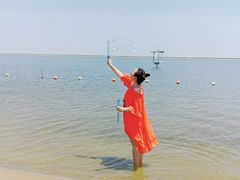-碧海金沙